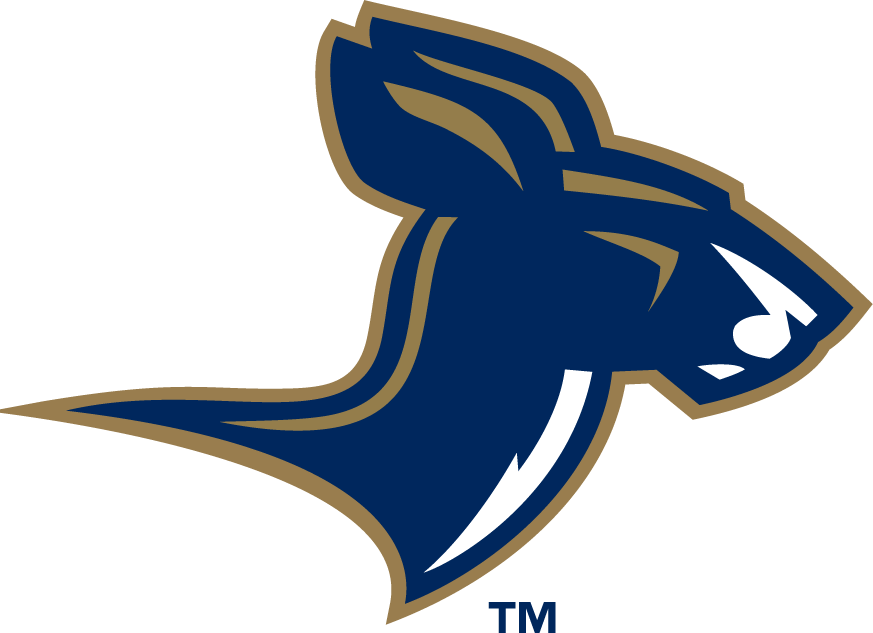 Akron Zips 2002-Pres Alternate Logo v4 diy DTF decal sticker